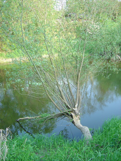 DSC08060